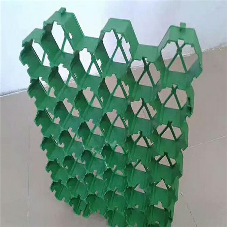 plastic ahịhịa pavers